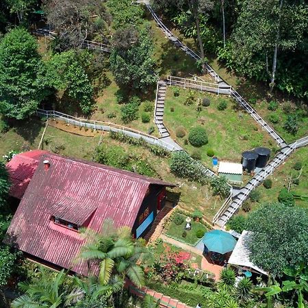 Bosque De Niebla Birding & Nature Cali Exterior foto