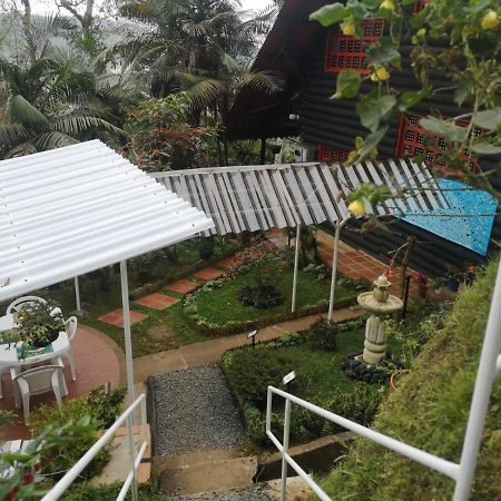 Bosque De Niebla Birding & Nature Cali Exterior foto