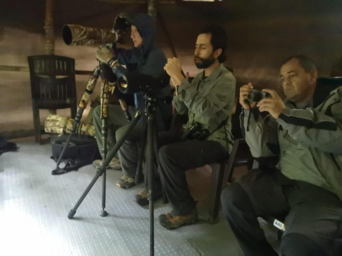 Bosque De Niebla Birding & Nature Cali Exterior foto