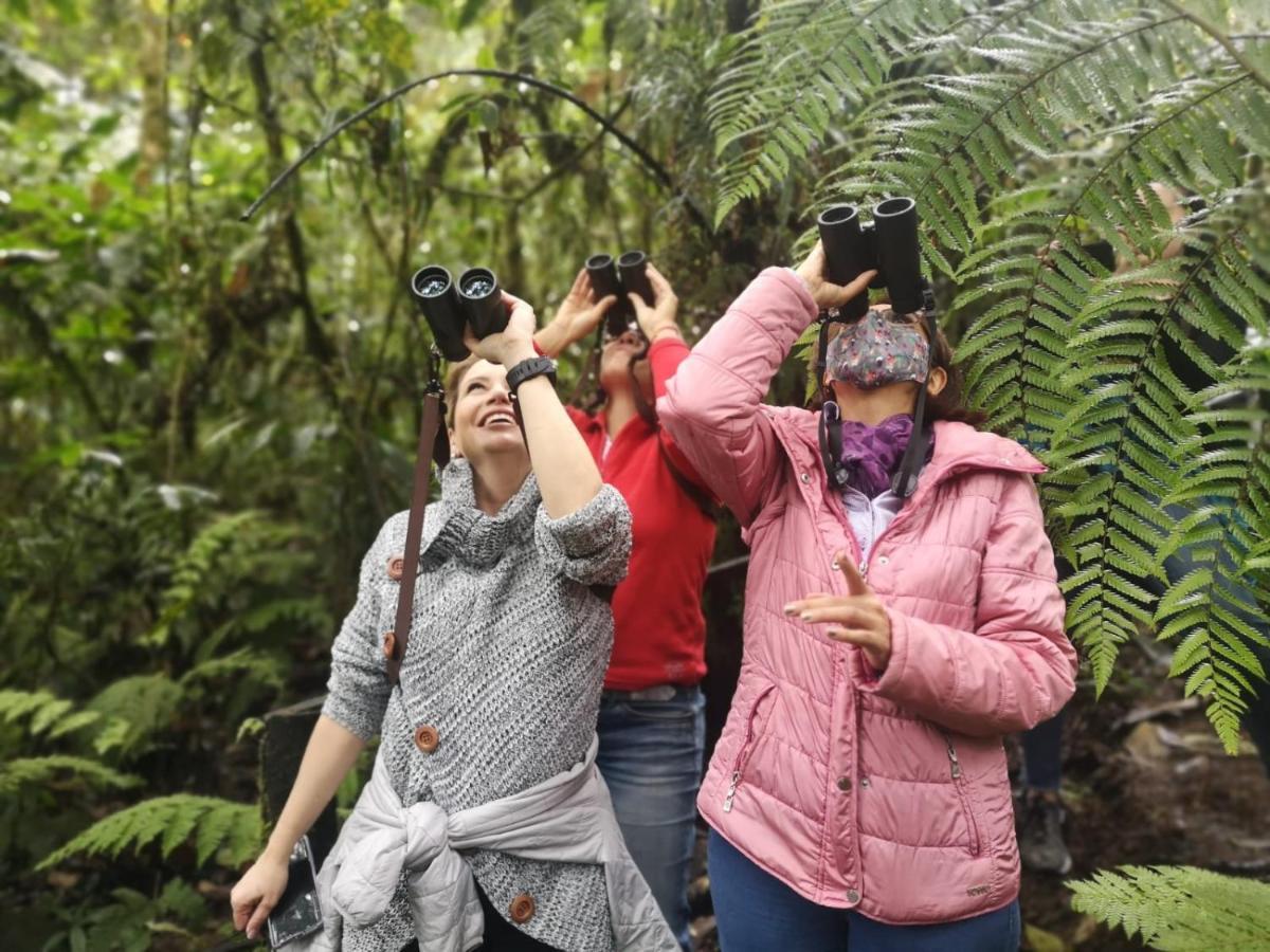Bosque De Niebla Birding & Nature Cali Exterior foto