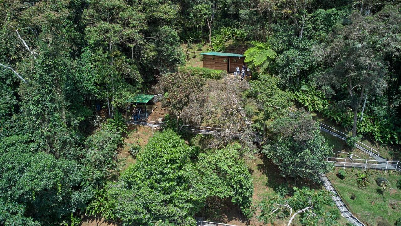 Bosque De Niebla Birding & Nature Cali Exterior foto