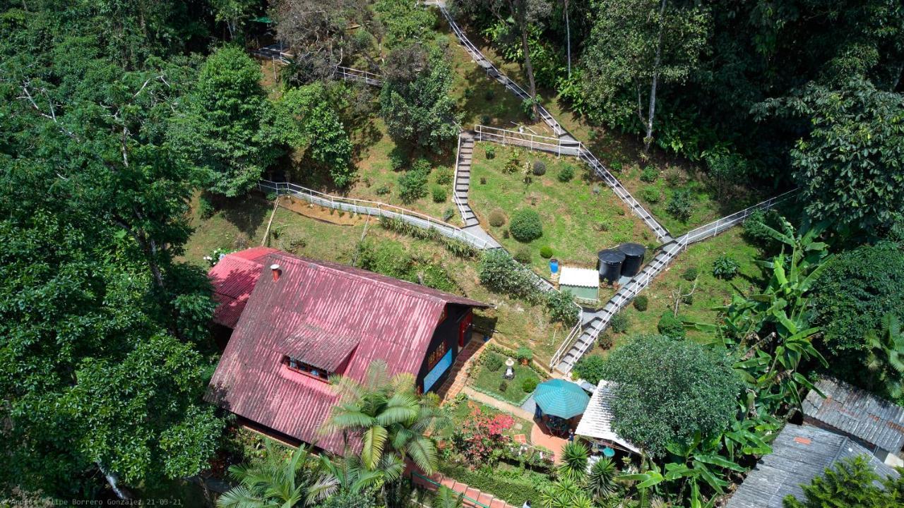 Bosque De Niebla Birding & Nature Cali Exterior foto