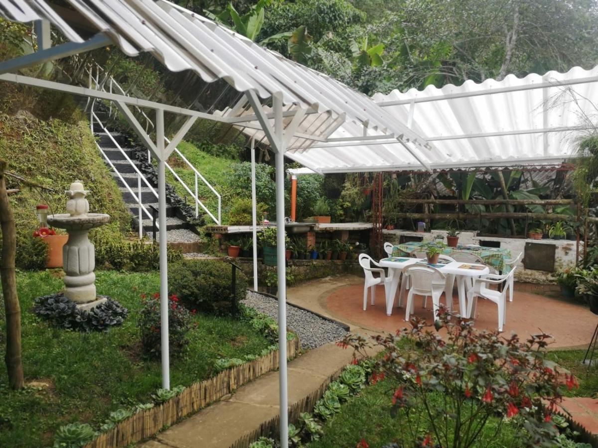 Bosque De Niebla Birding & Nature Cali Exterior foto