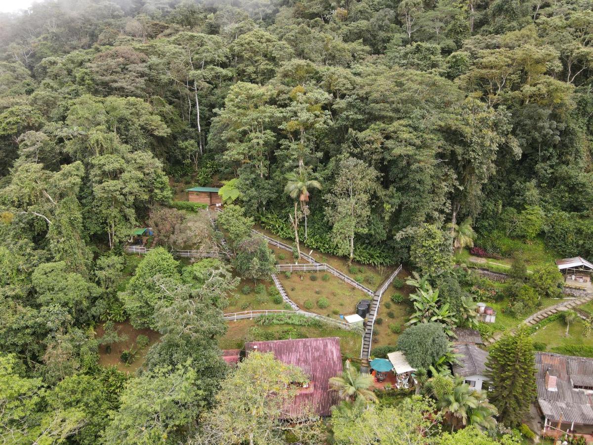 Bosque De Niebla Birding & Nature Cali Exterior foto